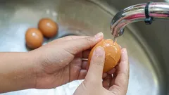 Muss man Eier wirklich waschen, bevor man sie in den Kühlschrank legt? Das sollten Sie wissen.
